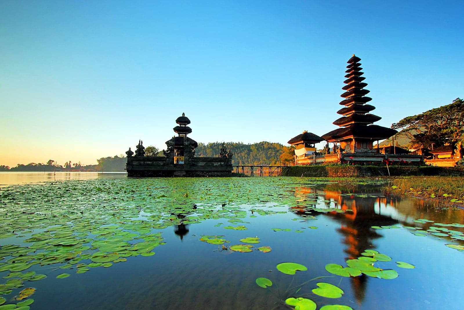 Miliki Ekonomi Kreatif, Kabupaten Buleleng di Bali Diajukan ke UNESCO