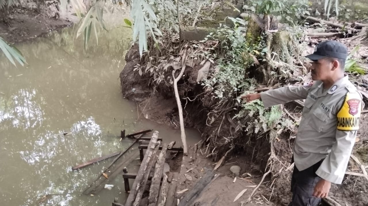 IRT di Tanggamus Diserang Buaya Muara saat Cuci Baju di Sungai