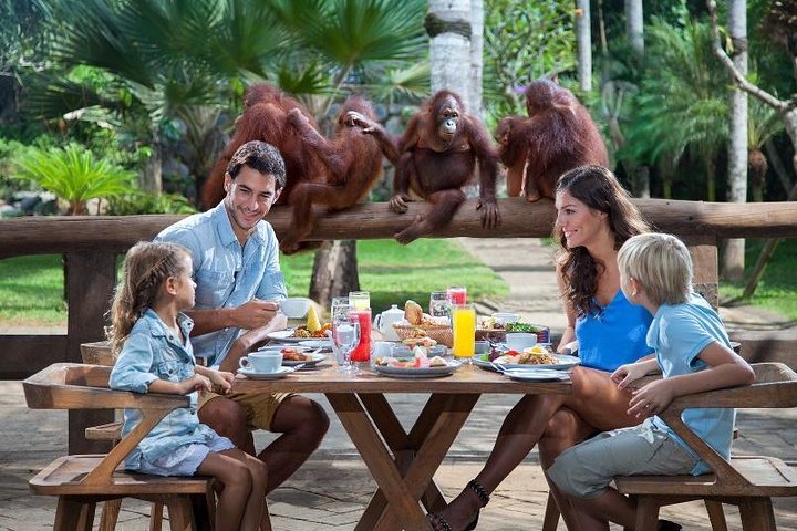 Menengok Daya Tarik Kebun Binatang Bali, Sarapan Bareng Orangutan Sampai Mandi Lumpur Dengan Gajah