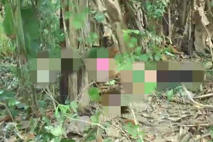 Dipaksa Kerja Open BO, Seorang ABG Tewas Dibunuh Teman Gegara Ogah Layani Tamu Kedua