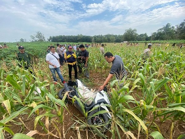 Ditemukan Jasad Perempuan dan Motor Vario di Perkebunan Jagung, Polisi Sebut Ada Banyak Bekas Luka